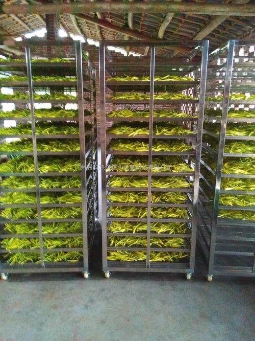 黃花菜烘干機、黃花菜烘干設備、黃花菜干燥機、黃花菜干燥設備、